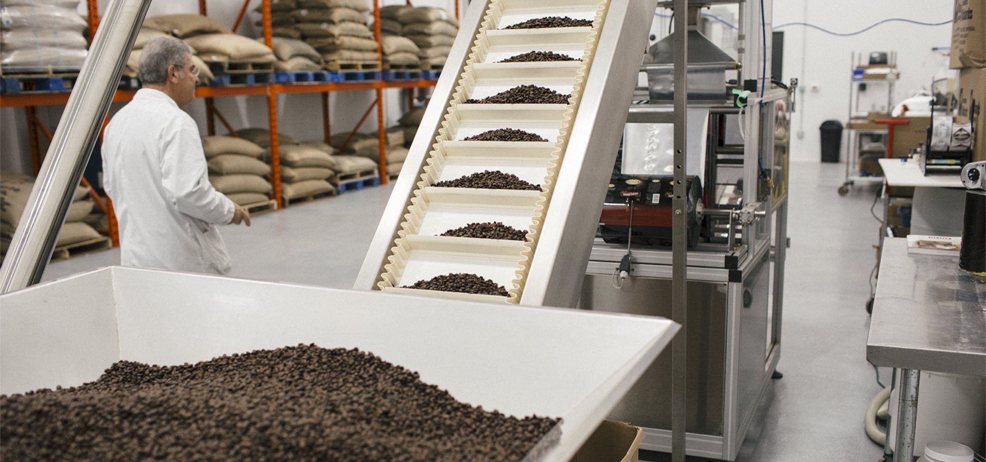 coffee-bean-guide-blog
